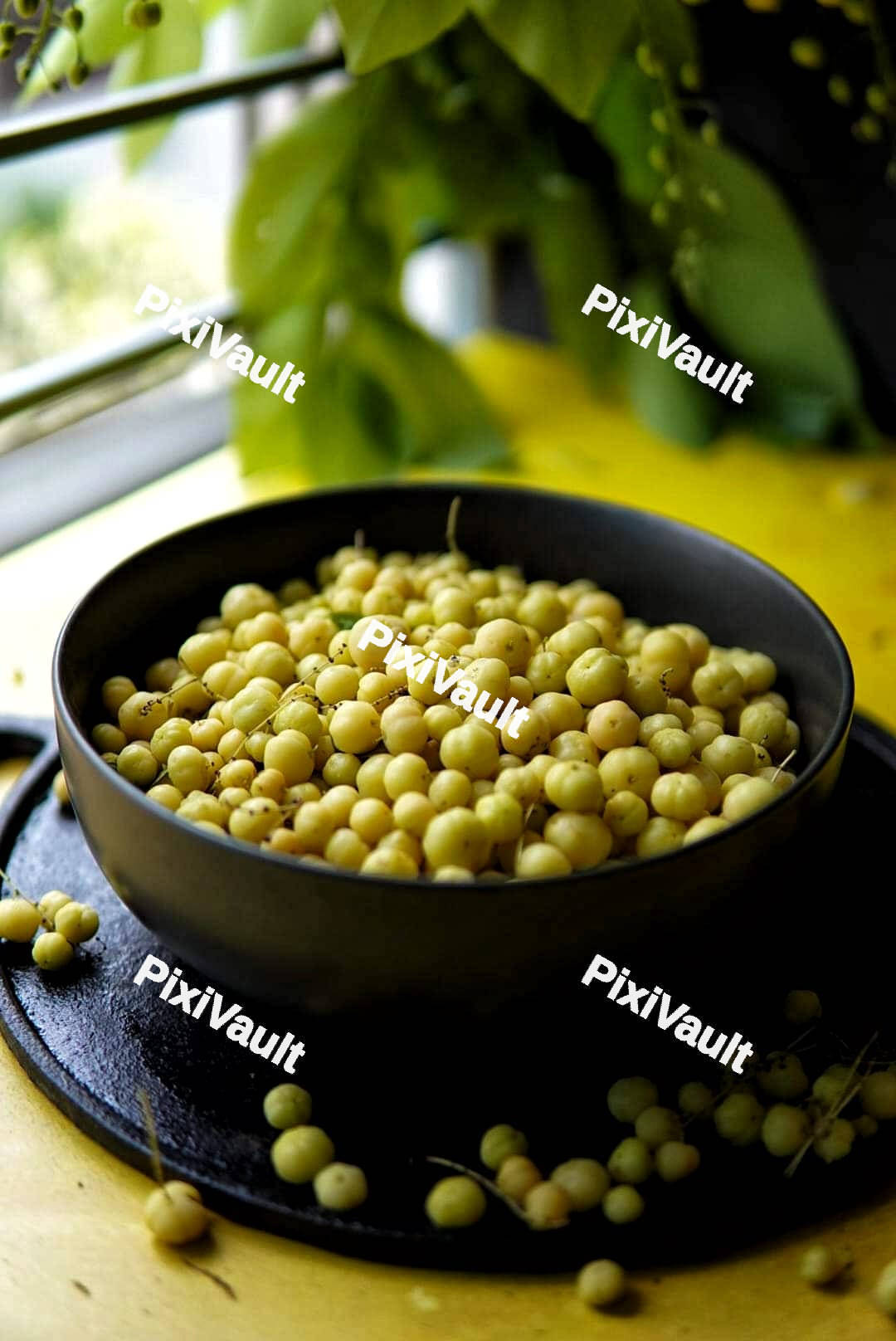 Thai Gooseberry Fruit
